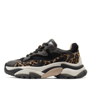 ADDICT COMBO N SNEAKERS